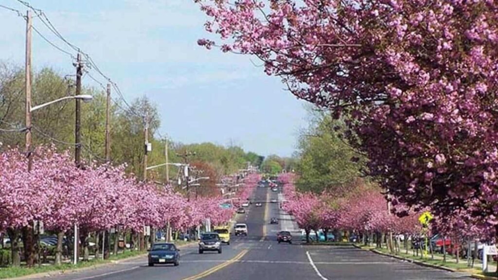 Picture of Cherry Hill Township Camden county NJ