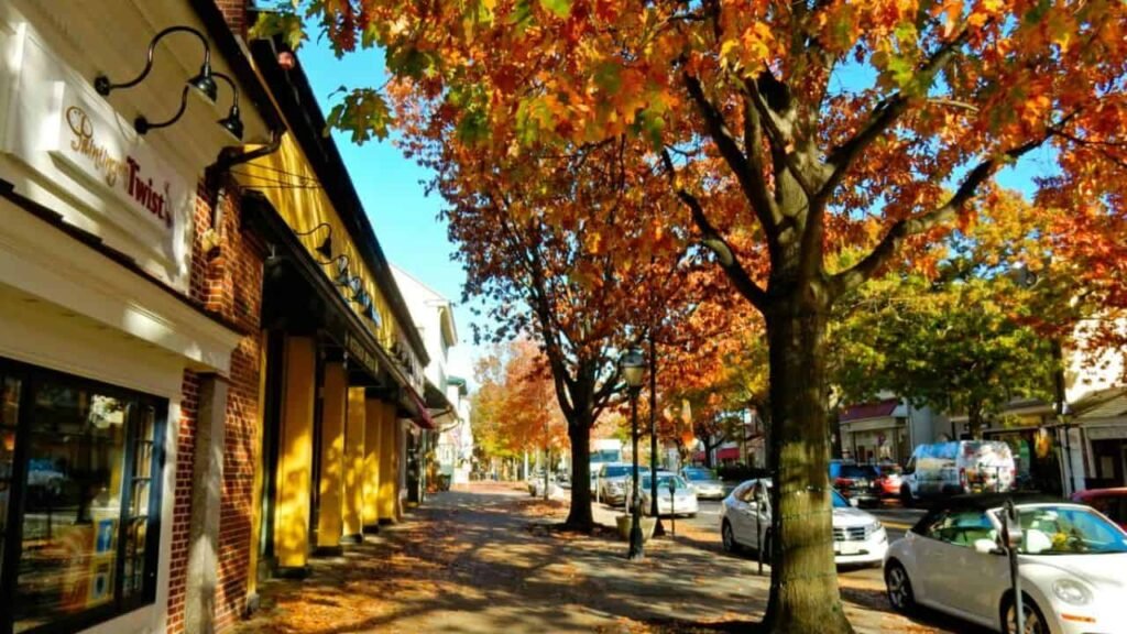 Picture of Haddonfield of Camden county NJ